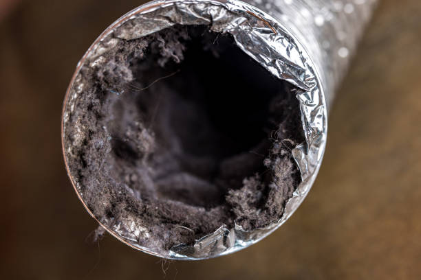 Best Residential Air Duct Cleaning  in Hawthorne, FL