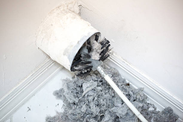 Best Home Air Vent Cleaning  in Hawthorne, FL